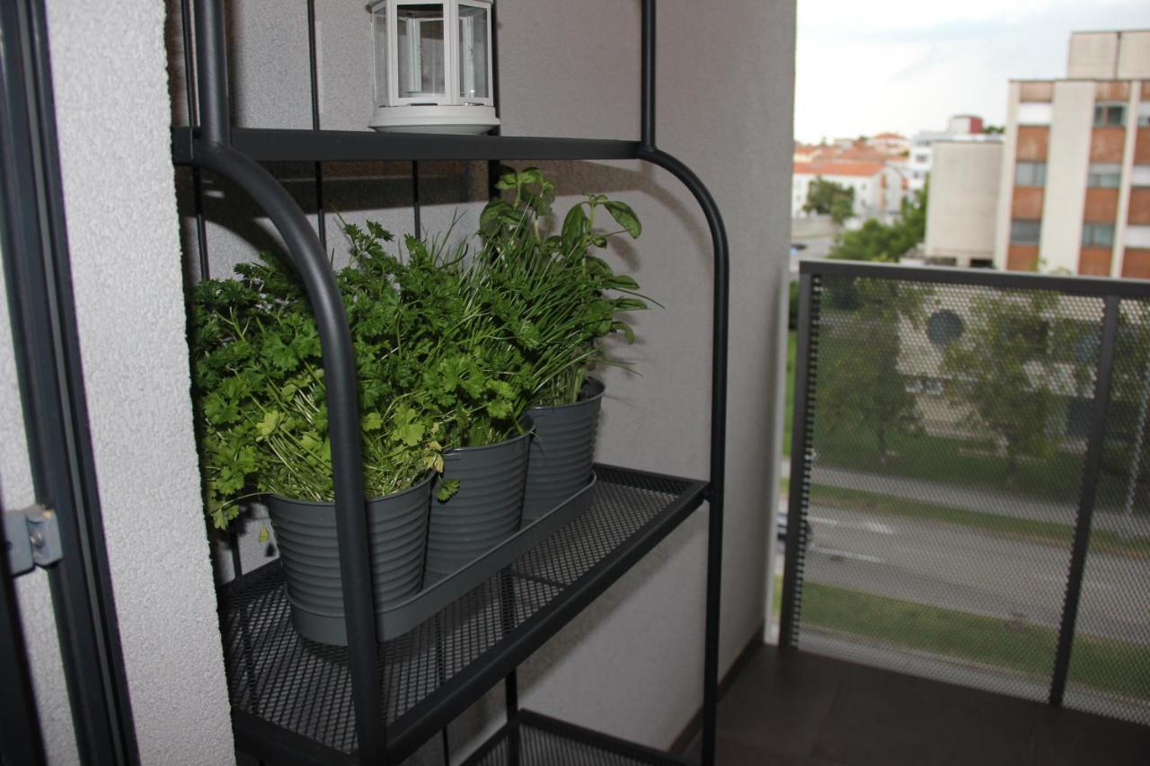 Sea Sun & Me Apartment Koper Exterior photo